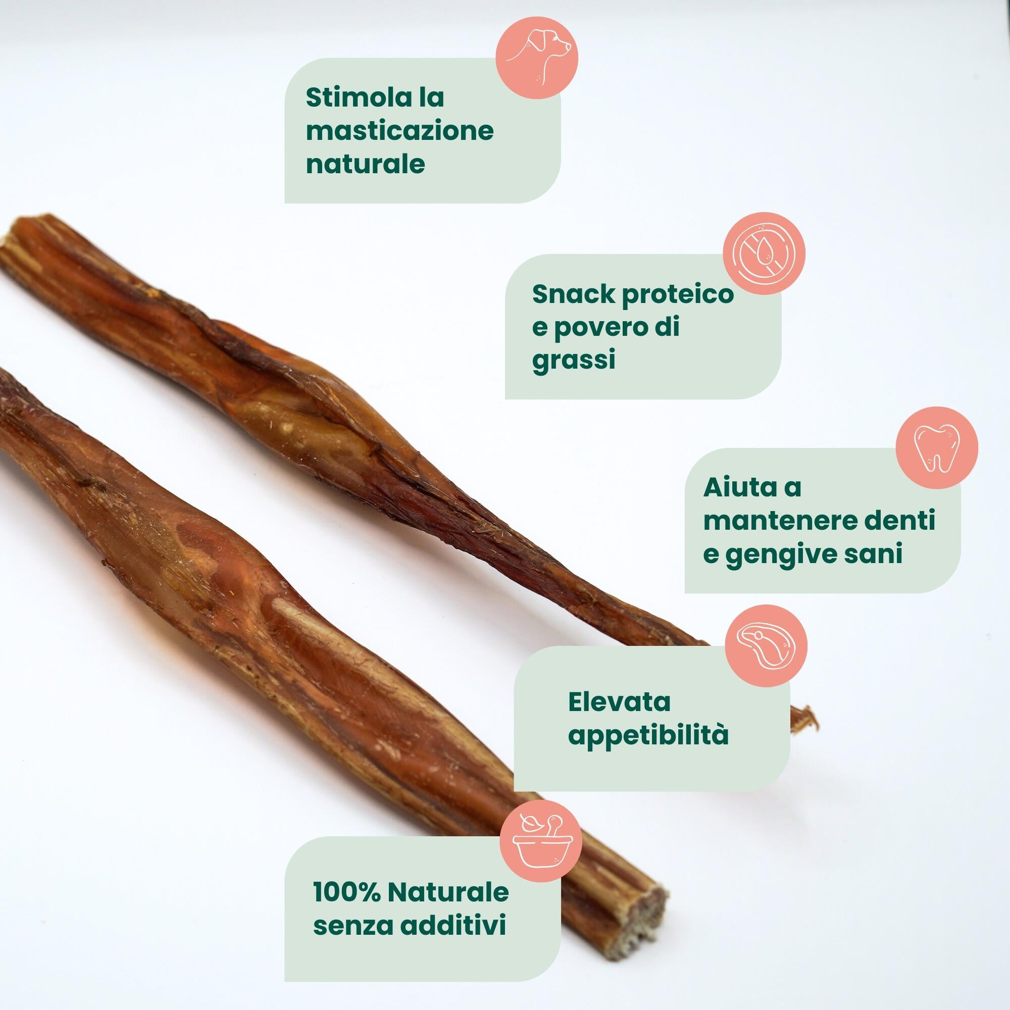 Nervo di Bovino 30 cm (2 pz) (consistenza ridotta)