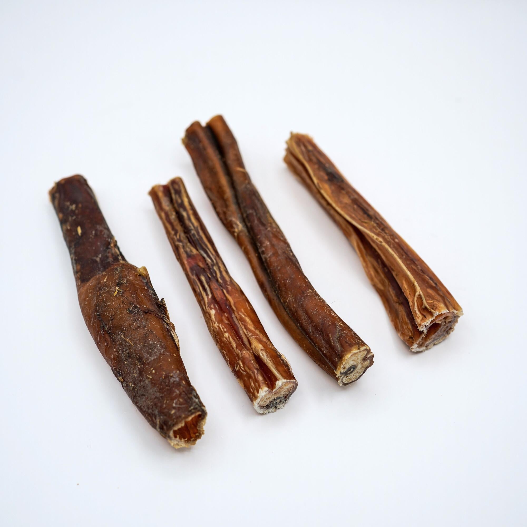 Nervo Bovino 12-15 cm (4 pz)