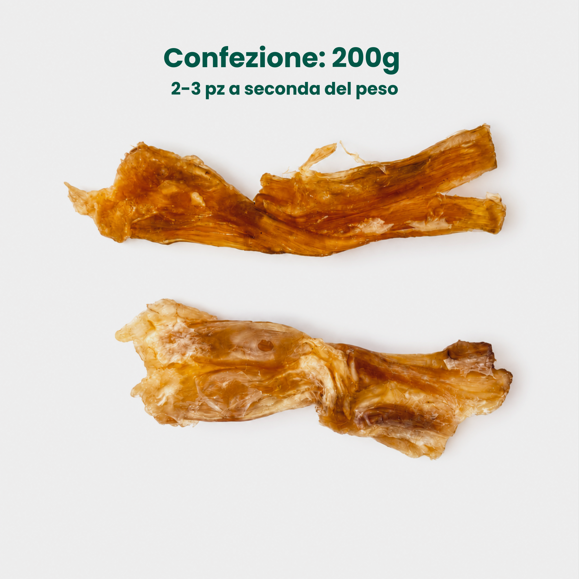 Nervo del piede Bovino