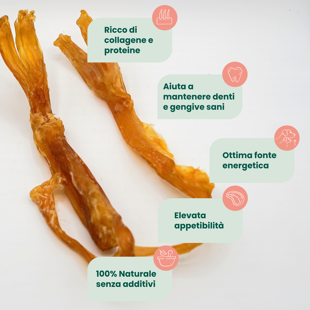 Cow Foot Nerve