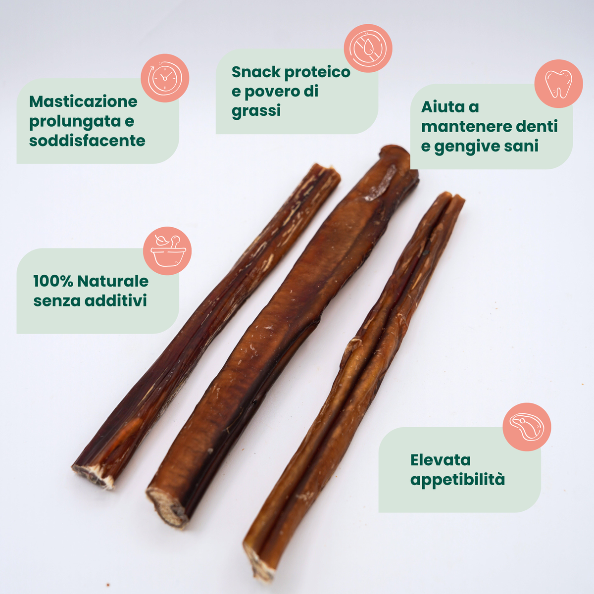 Nervo di Bovino Extra Resistente 20-25 cm