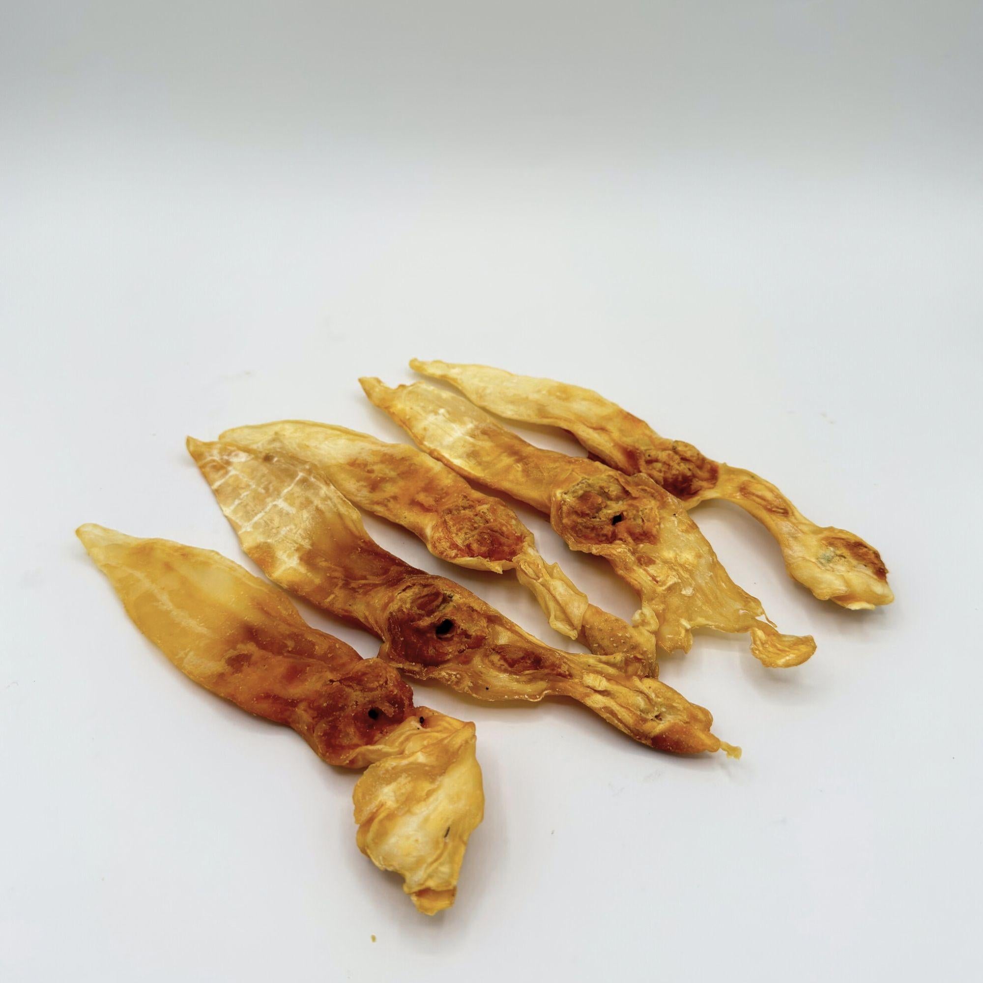 Orecchio di Coniglio senza Pelo (5 pz)