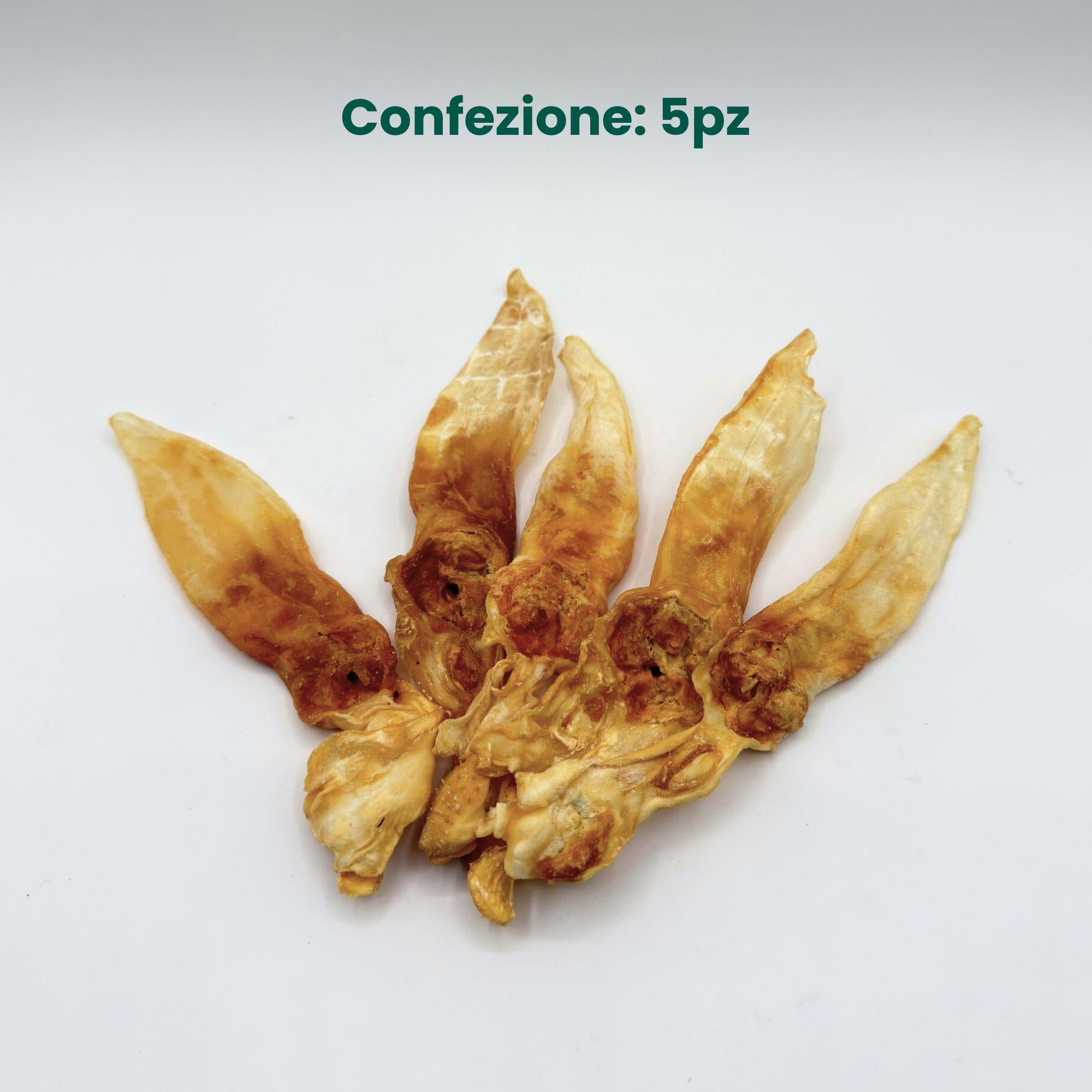 Orecchio di Coniglio senza Pelo (5 pz)