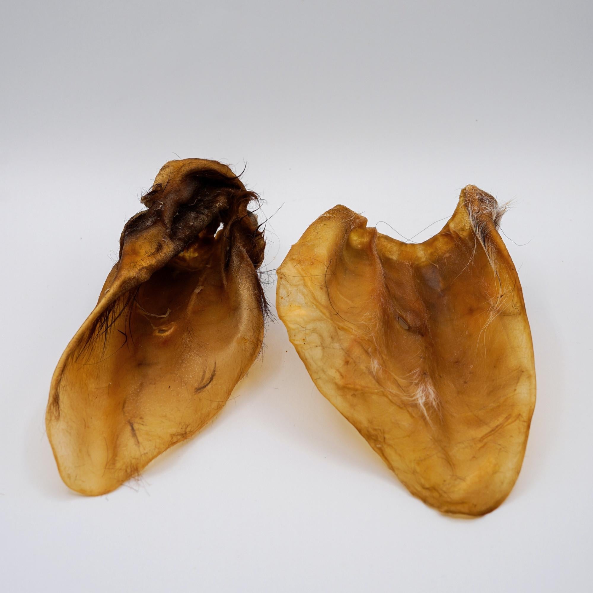 Orecchie di Bufalo (2pz)