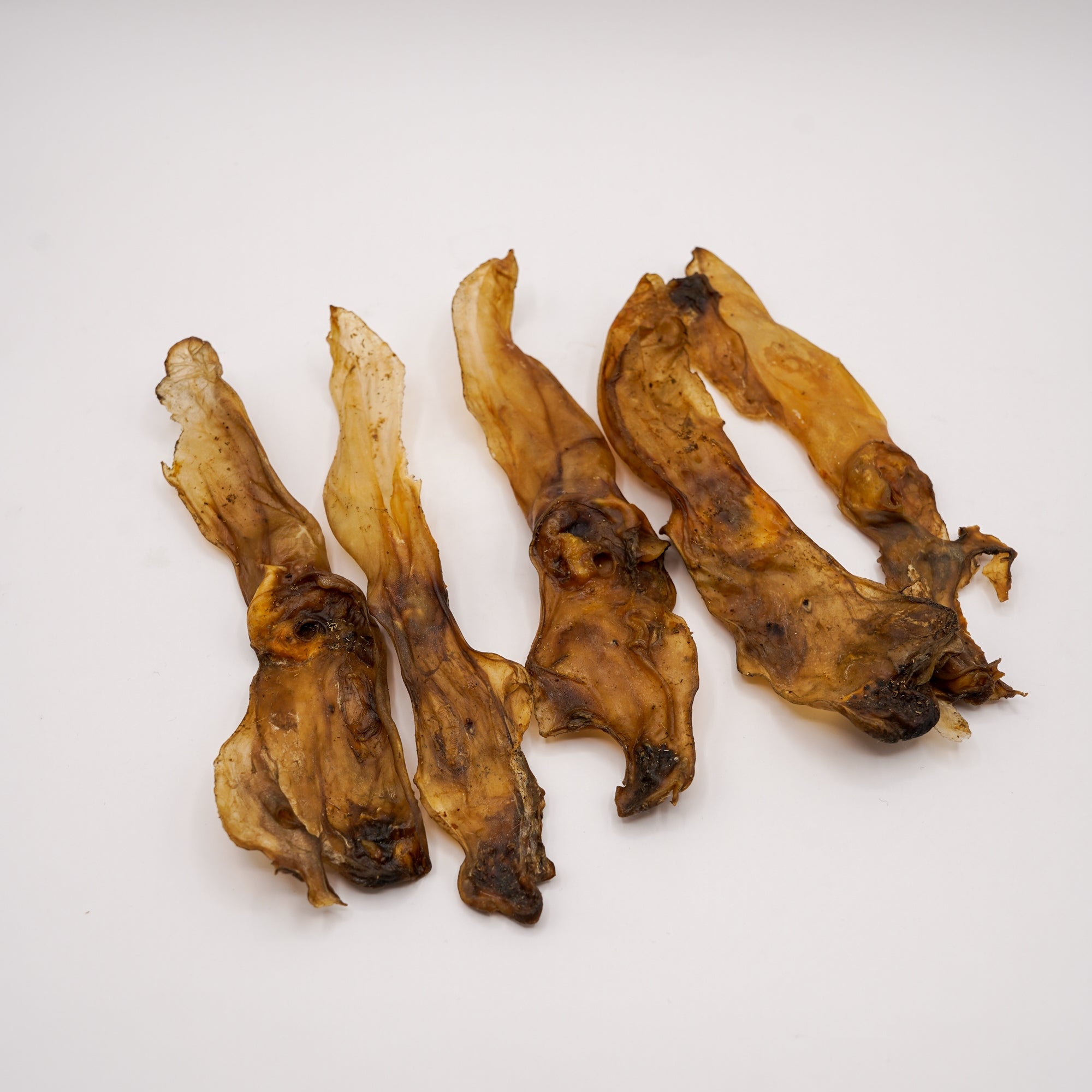 Orecchio di Coniglio senza Pelo (5 pz)