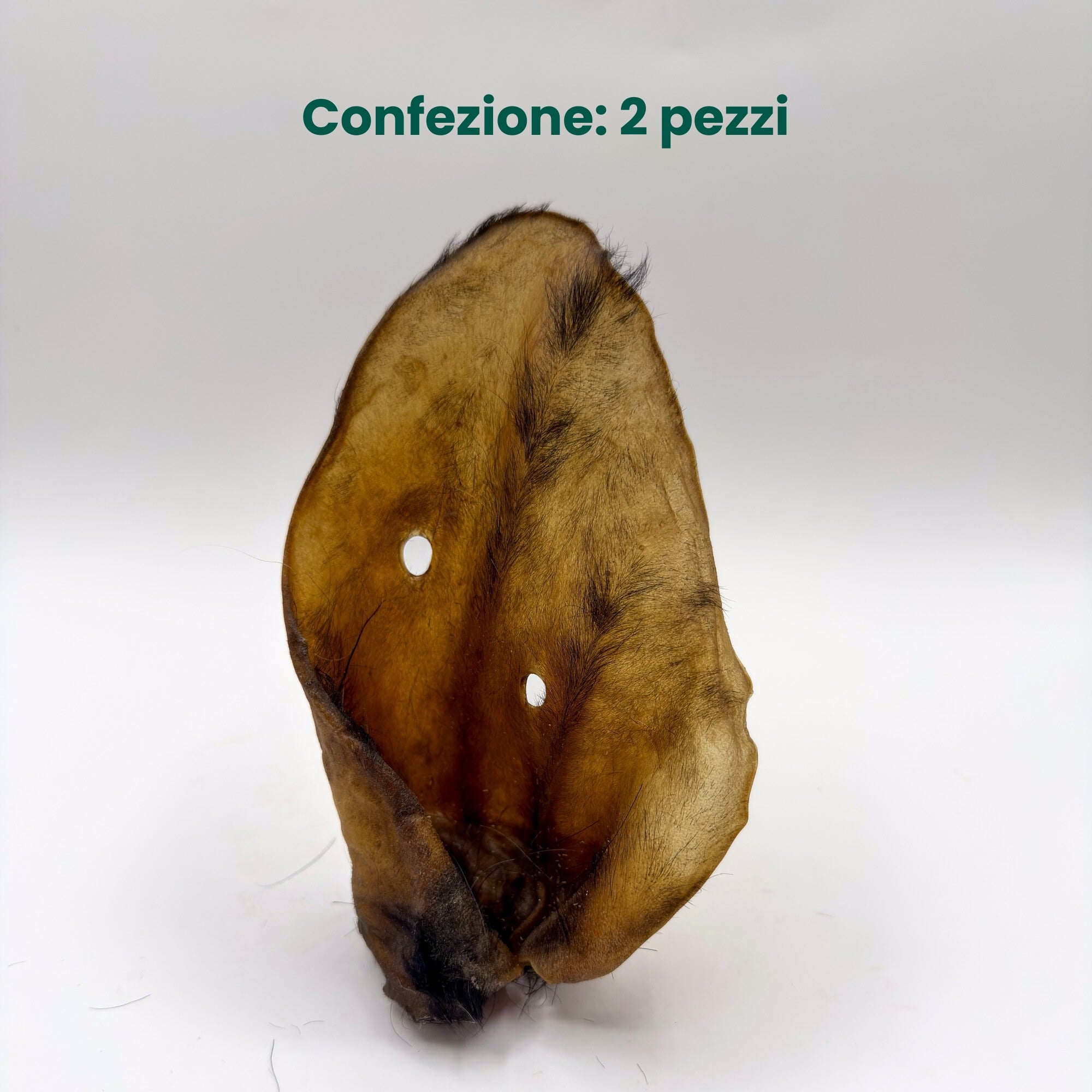 Orecchio di Bufalo (2pz)