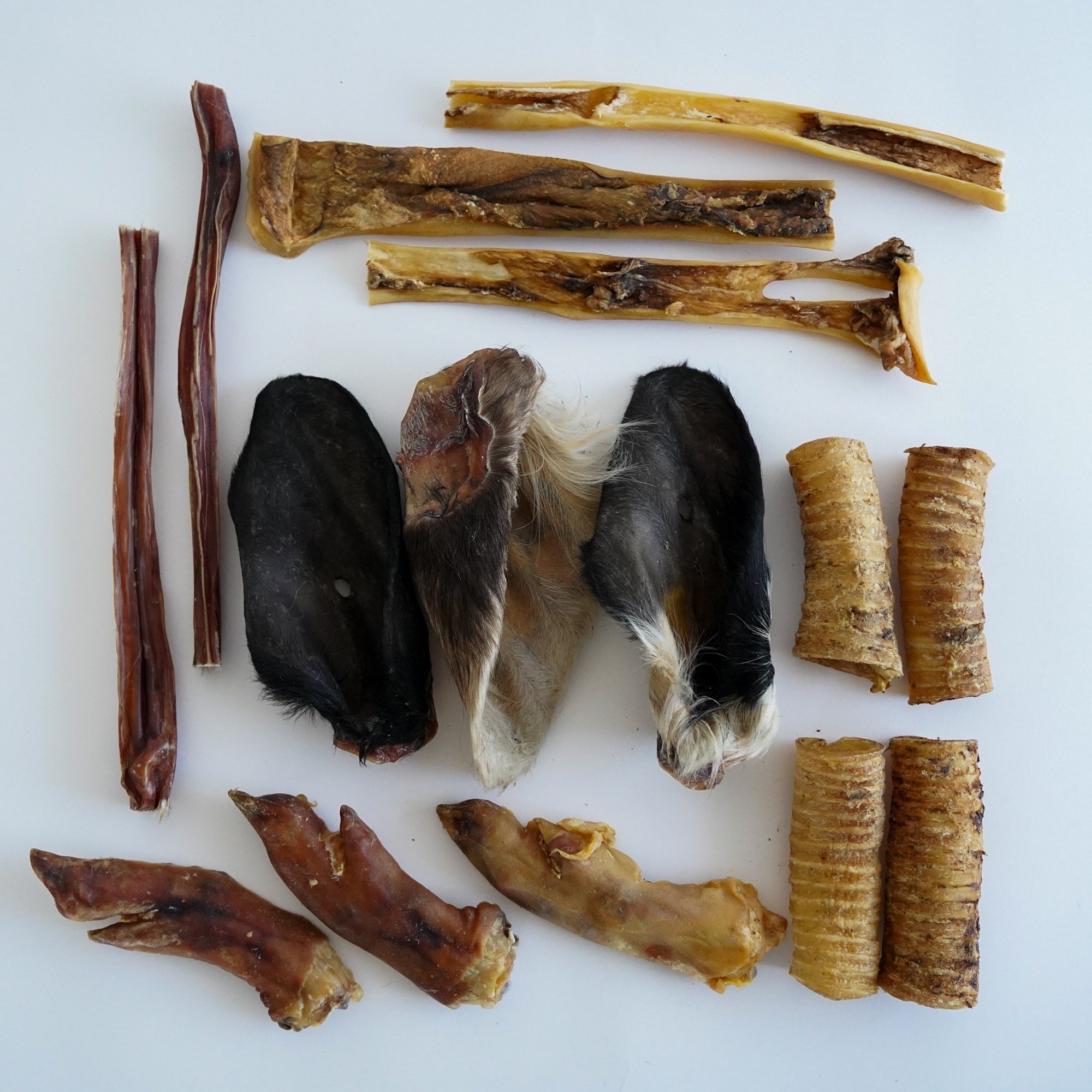 Pack Masticativi Naturali - Cani Taglia Grande (>20kg)