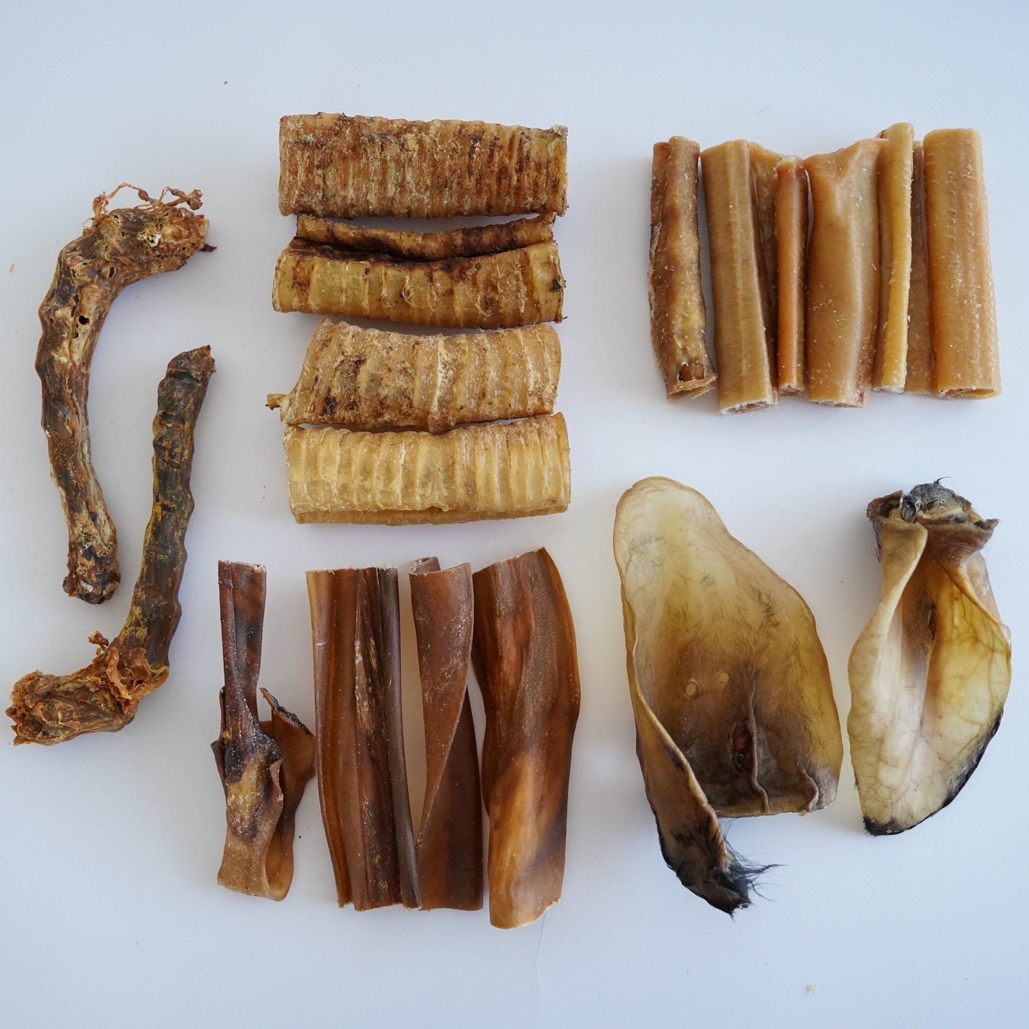 Pack Masticativi Naturali - Cani Taglia Media (15–20 kg)