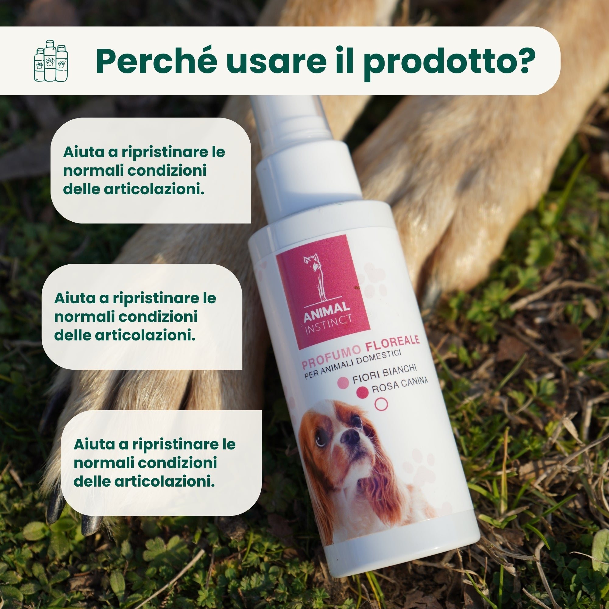 Profumo Spray Floreale per il Pelo