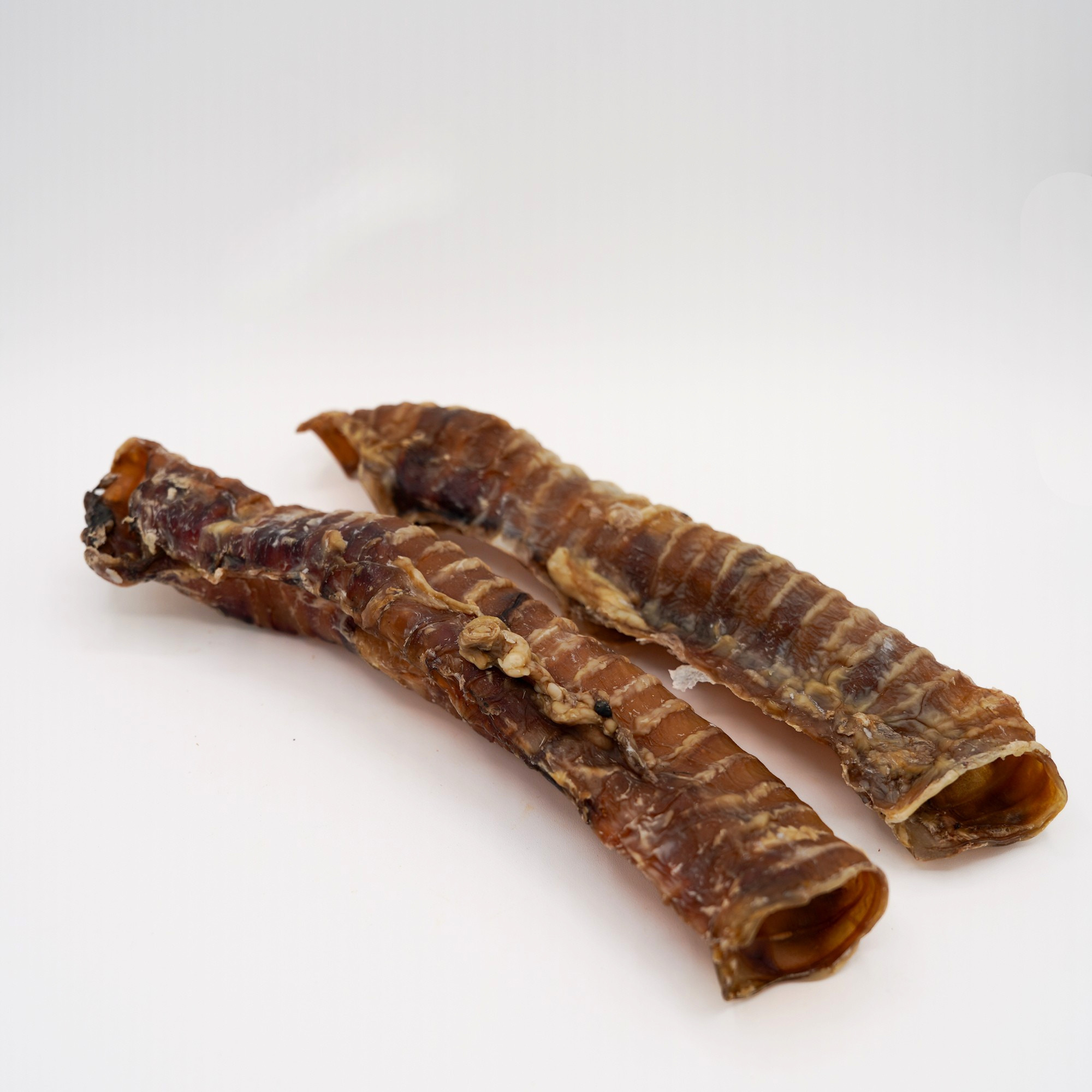 Trachea di Manzo Intera