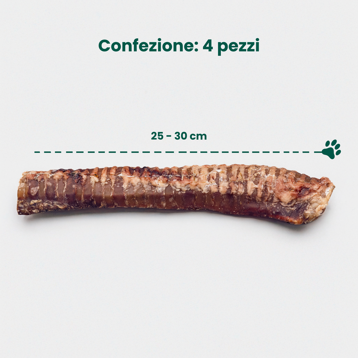 Trachea di Manzo Intera