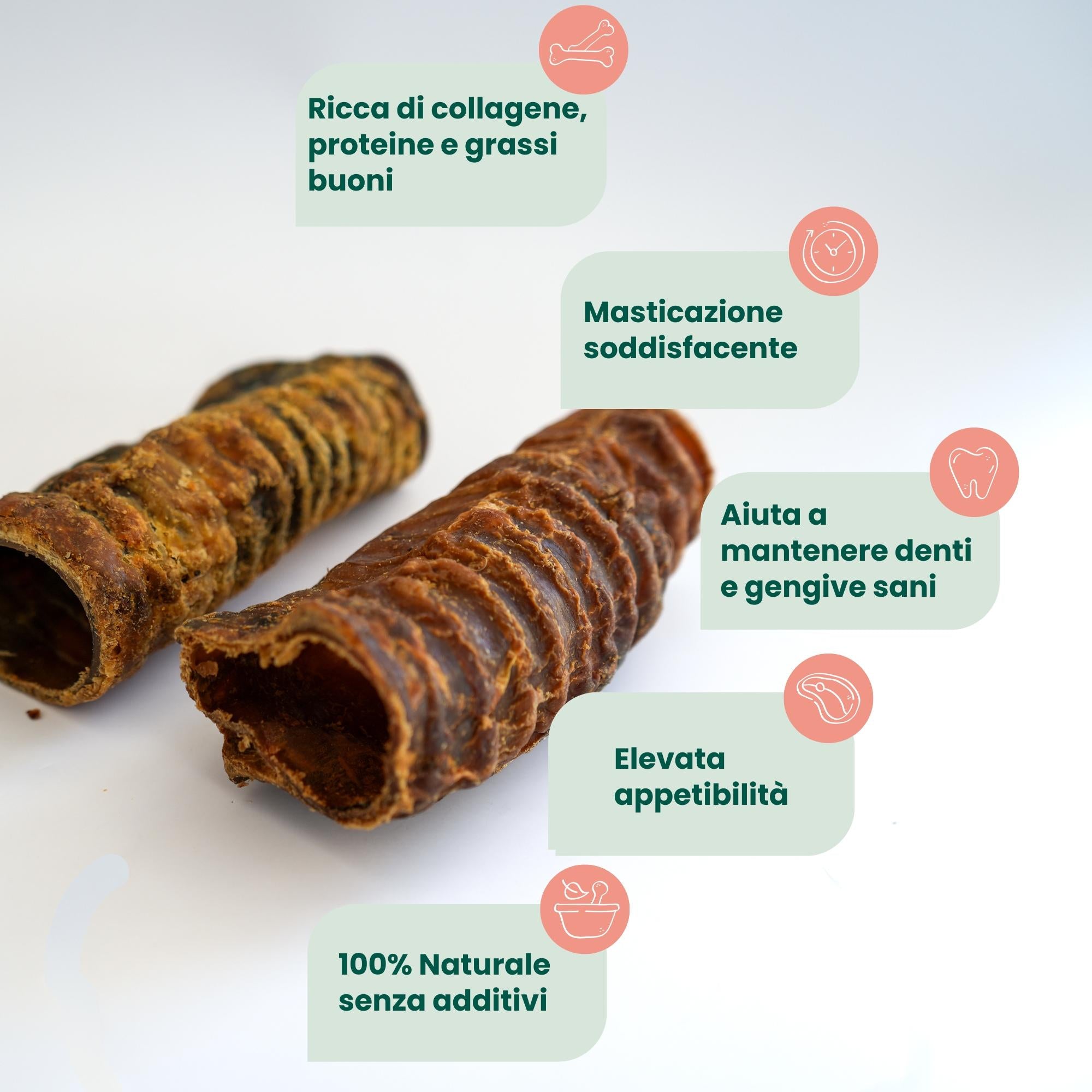 Cow Trachea 30 CM (1 pz)