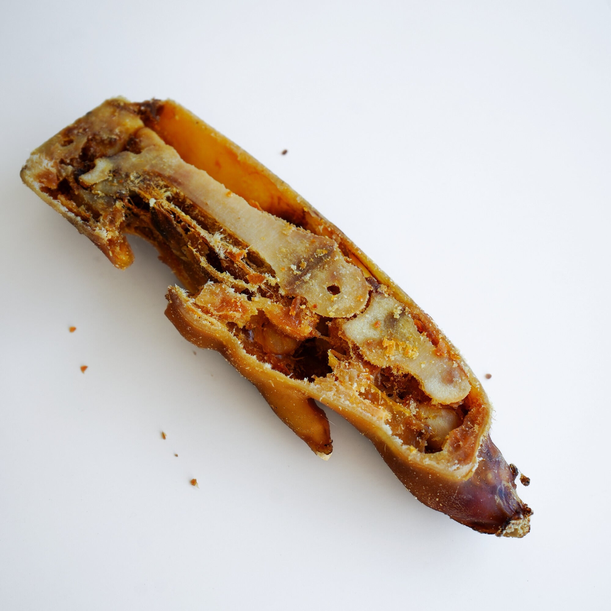 Zampa di Maiale (1 pz)