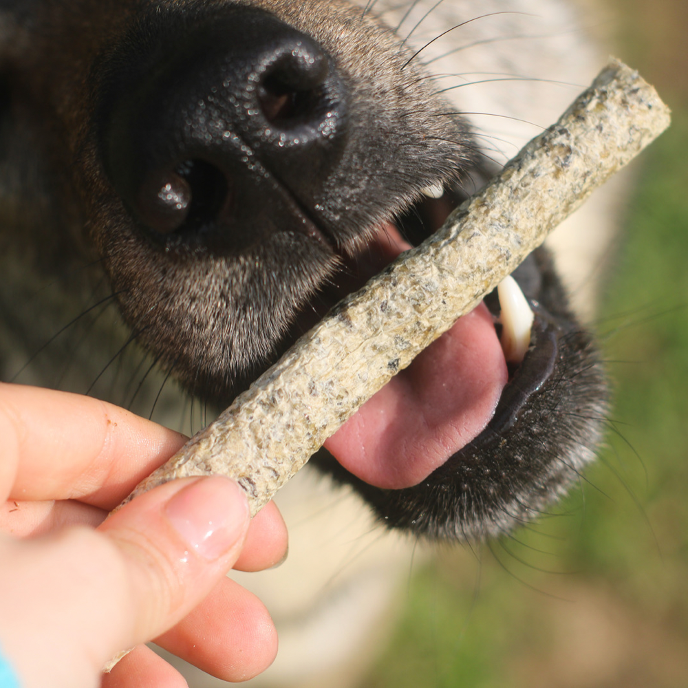 Salmon Stick (4 pcs)